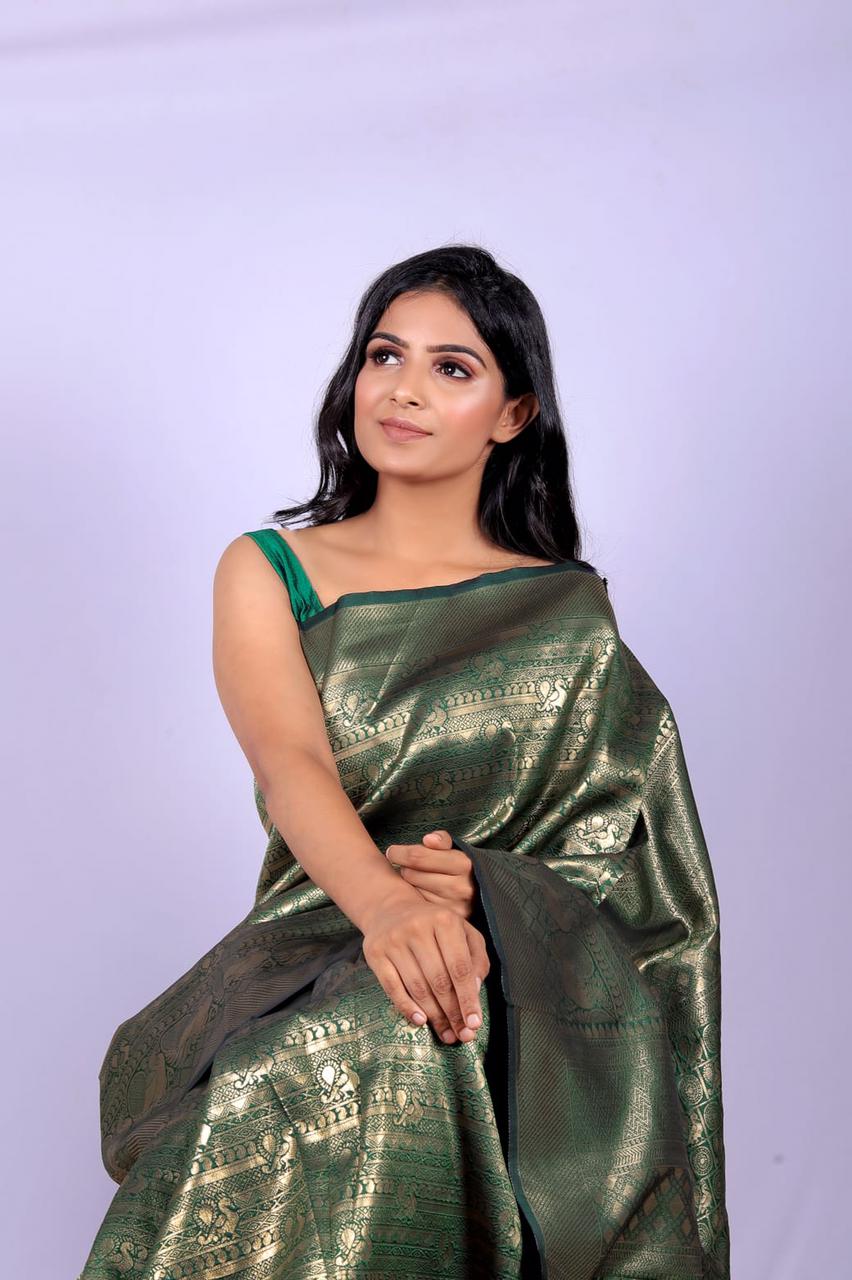 Banarasi Saree with Zari Pallu