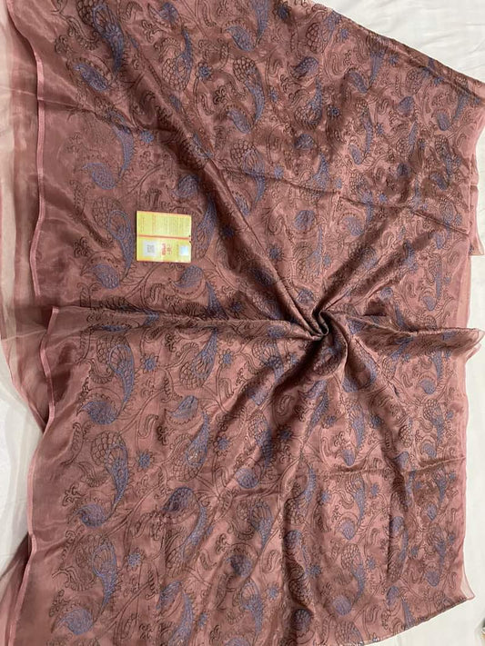 Pure Tussar by Tussar silk embroidered saree