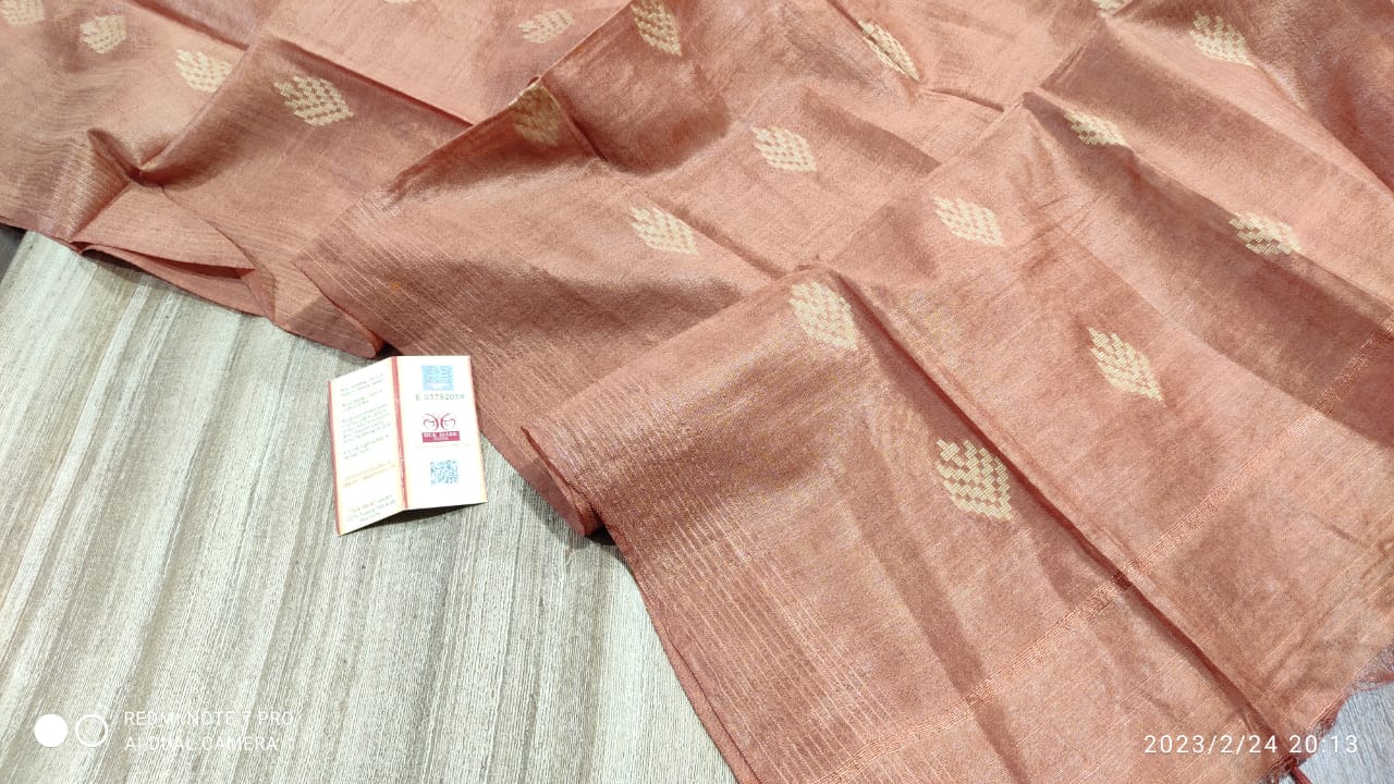 Tussar Ghicha Silk top and semi silk buta dupatta