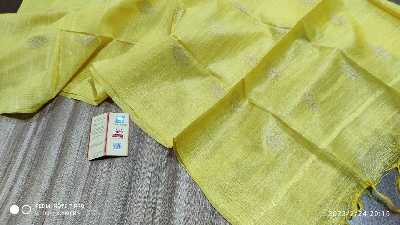 Tussar Ghicha Silk top and semi silk buta dupatta